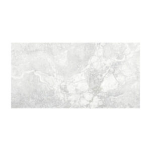 Cambridge Gray 12x24 Matte