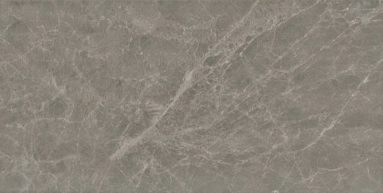 Lory Dark Gray 12x24 Matte
