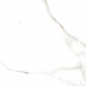 Calacatta Gray Matte 18x18