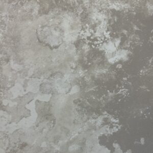 3092 Torino Noce 10x16