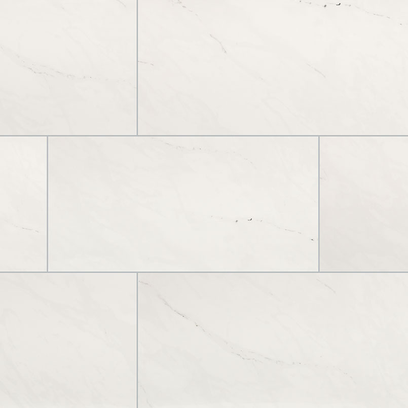 Aria Ice 24x48 Polished