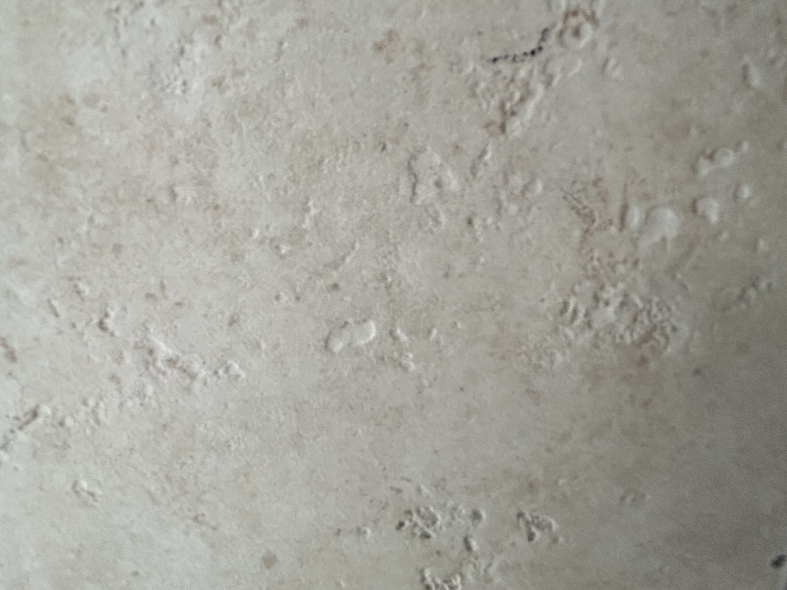 1311 Verona Beige 6x6