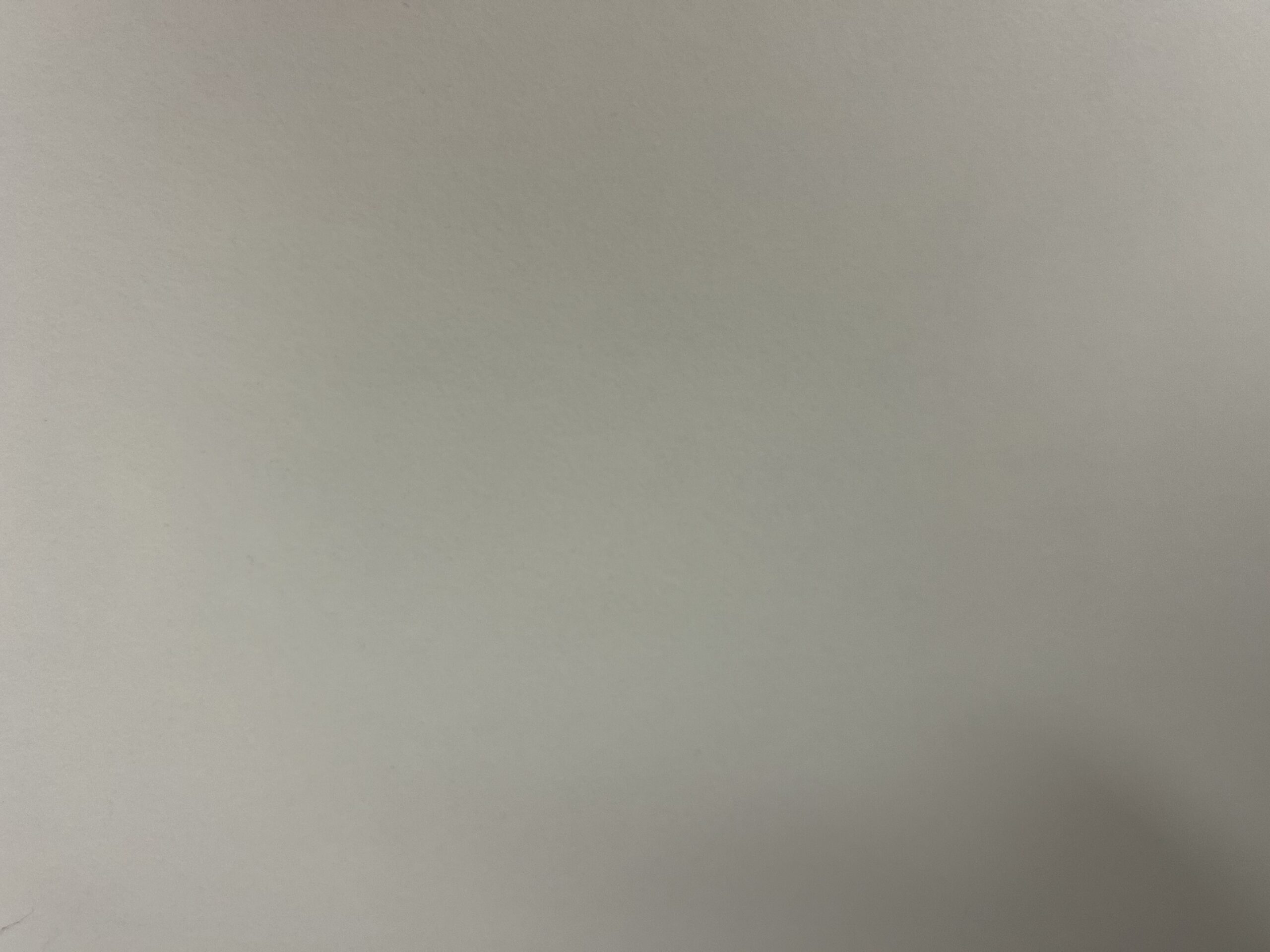 Onyx Snow 24x48 Matte